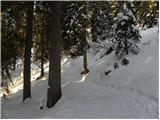 Planina Zajavornik - Vrh Razora